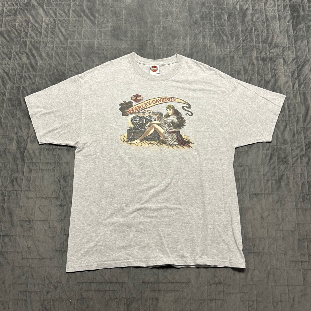 Vintage y2k Harley Davidson Colorado Springs‎ Biker Motorcycle Shirt